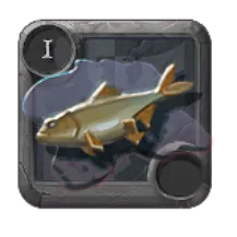 Corvina Comum