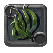 Alga