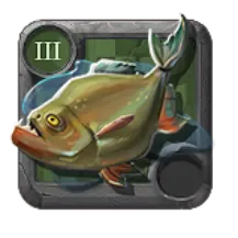 Pargo Bruma-branca